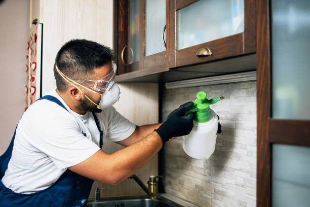 Best Flea Control Services  in Williamsburg, VA