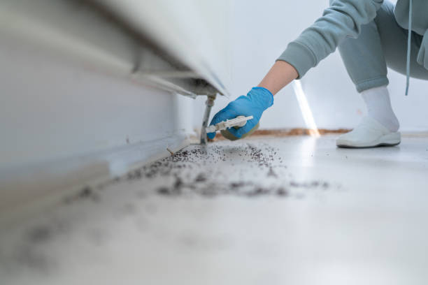 Best Pest Prevention Services  in Williamsburg, VA